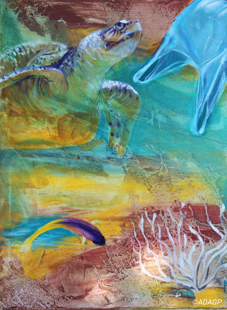 La Tortue et le sac-méduse