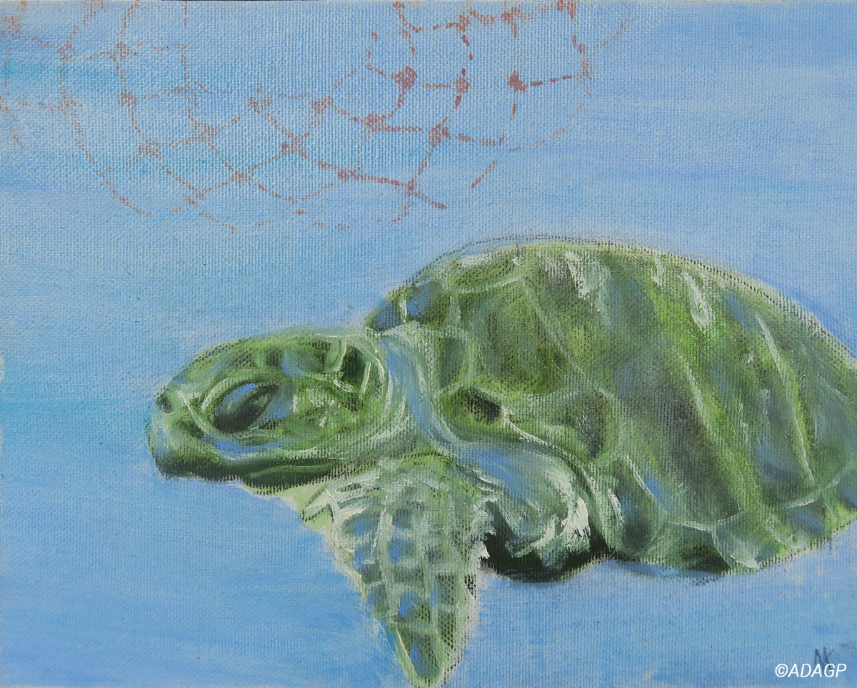 Jeune tortue marine nageant