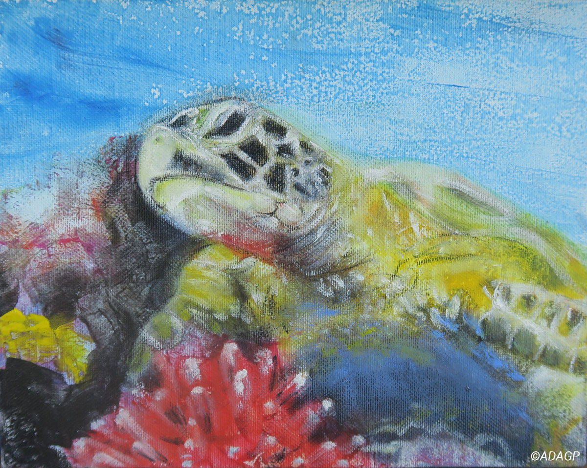 Tortue au corail