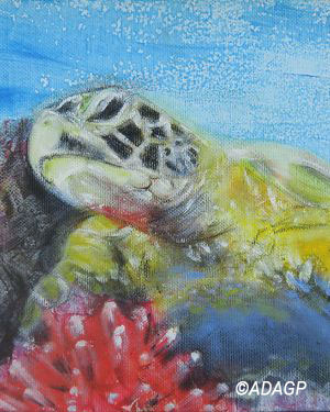 Tortue au corail