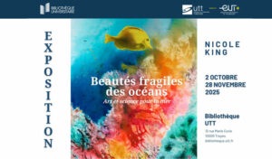 Exposition Troyes 2025