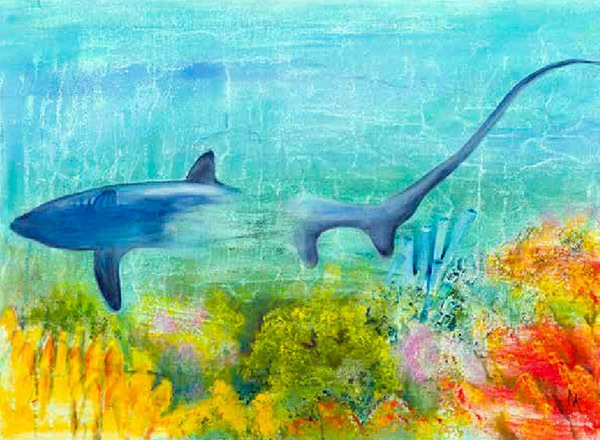 Requin en voie de disparition