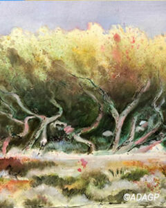 Arbres au bord de la mer