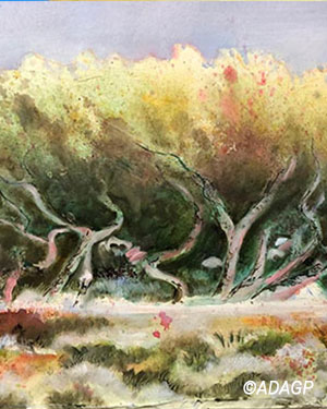 Arbres au bord de la mer