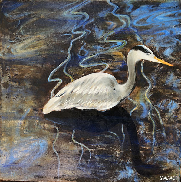 Le Héron du lac supérieur