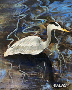 Le Héron du lac supérieur