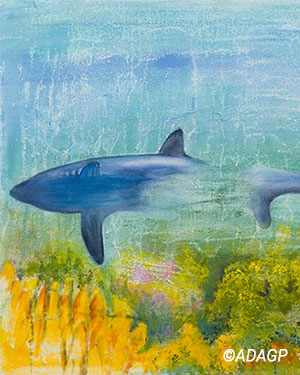 Requin en voie de disparition