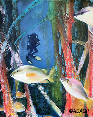 Vie foisonnante sous la mangrove